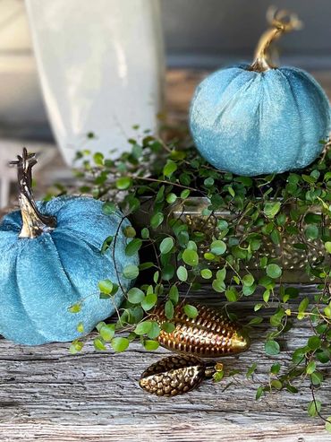 Table Decorating with live plants and silk pumpkins and a touch of gold
