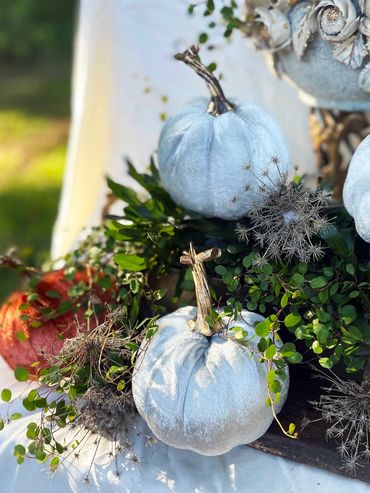 Silk pumpkins, Fall arrangement, fall centerpiece with live plants angel vine and ajuga. Gold accent