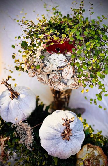 Silk pumpkins, Fall arrangement, fall centerpiece with live plants angel vine and ajuga. Gold accent