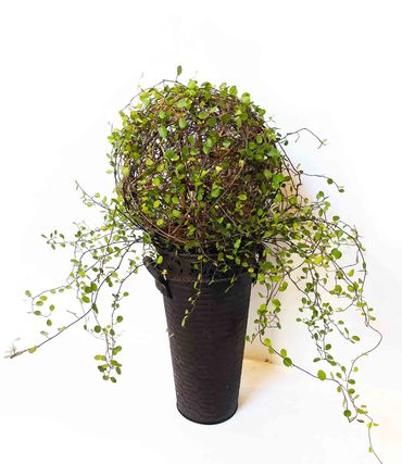 ball grape vine topiary