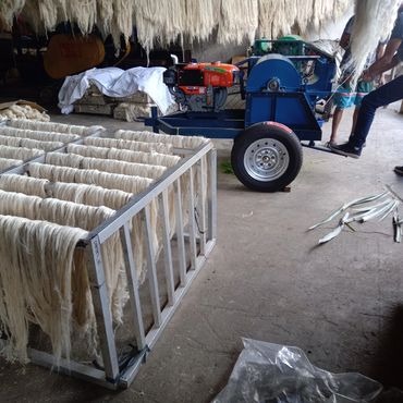 Pineapple Decorticating Machine