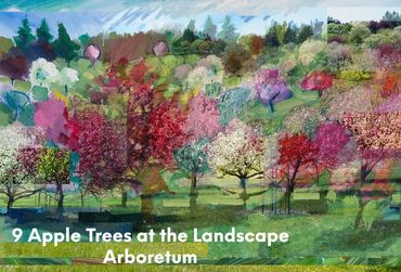 Apple Trees of the Landscape Arboretum