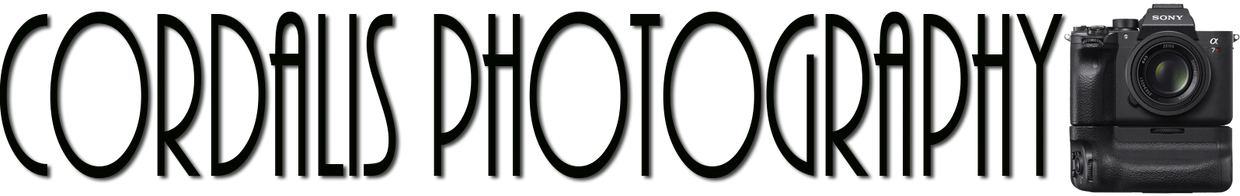 wedding photography and more