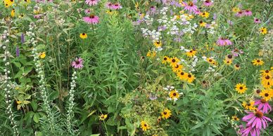 Laudato Si' Project Prairie Planting