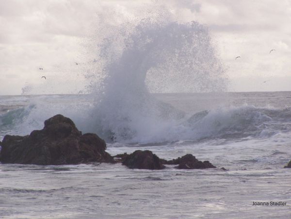 Ocean waves crashing against rocks with birds flying overhead.