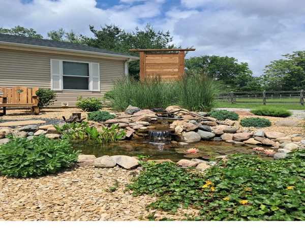 Koi Pond With Waterfall