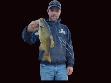 Smallmouth Bass