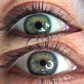 Lash Liner ( shade on the lash line)