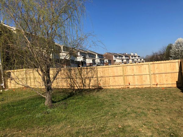 perfect wooden fence in Lexington