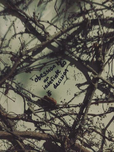 Grain of Wisdom photo