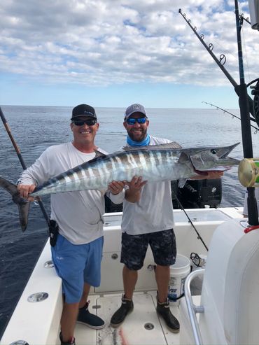 Fish for Dolphin, Tuna and Wahoo