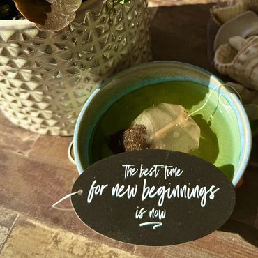 The best Time for new beginnings is NOW. Let's begin!