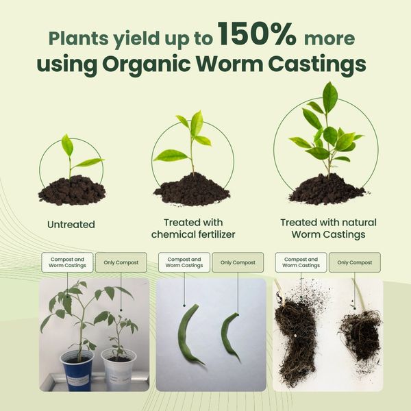 Worm Castings in your garden or in your crops will produce greater yields!