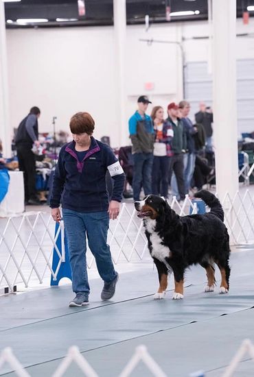 Being asked to stay, Rally 2024