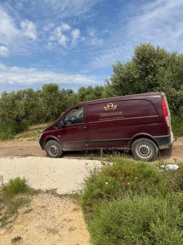 Maroon van parked near olive trees under a blue sky.
