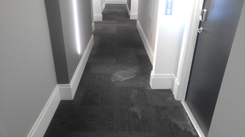 Residential Carpet Cleaning Highrise stains in the hallway before