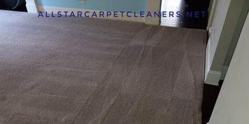 clean carpet in Elgin