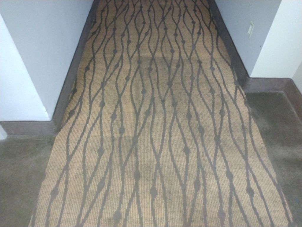 Commercial Carpet cleaning hotel hallway