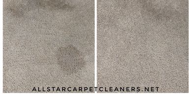 Pet stain removal Cayce, SC