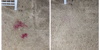 Stain removal Cayce, SC