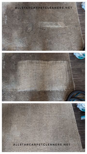 before and after carpet cleaning specials