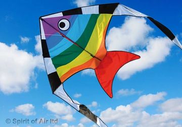 spirit of air single line kite aqua flyer rainbow fish