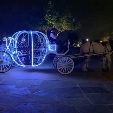 Cinco De Mayo Houston