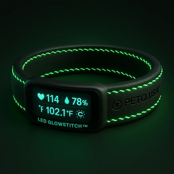 Guardian Lite Edition Coming Soon. $99