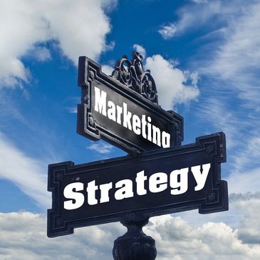 Marketing and Business Consultant