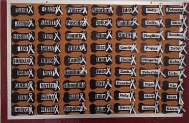 Algunos de nuestros ángeles