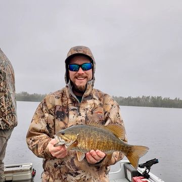 Spring small
Mouth
