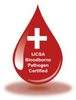 Bloodborne Pathogens Certification