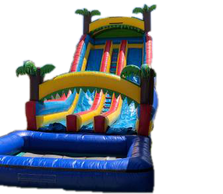 double lane water slide - inflatable