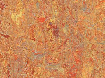 Marmoleum Vivace Asian Tiger