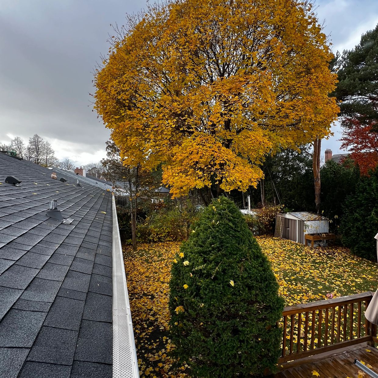 Leaf guard on the eavestrough in Mississauga