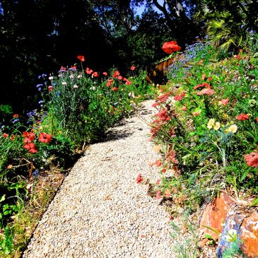 Garden Path with Abundant Flowers