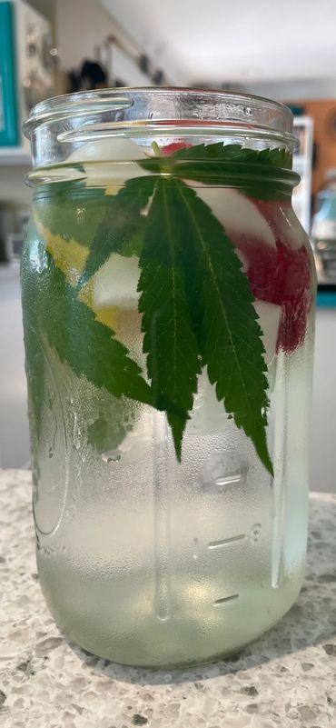 cannabis infused water