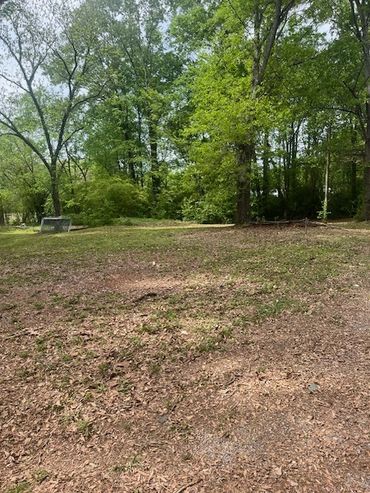 Yard Cleanup and Grass Cutting