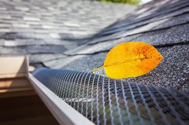 mesh covers for your gutters