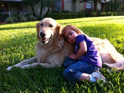 Dog Trainer in Tampa 