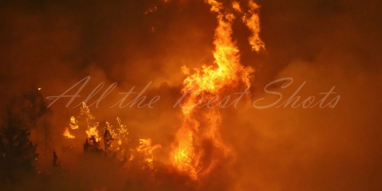 Photo of flames in form of a dragon burning fir trees in Columbia River Gorge