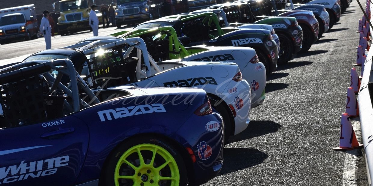 Photo of Mazda Mx5 racecars lined up in the morning light, waiting for the start of the race