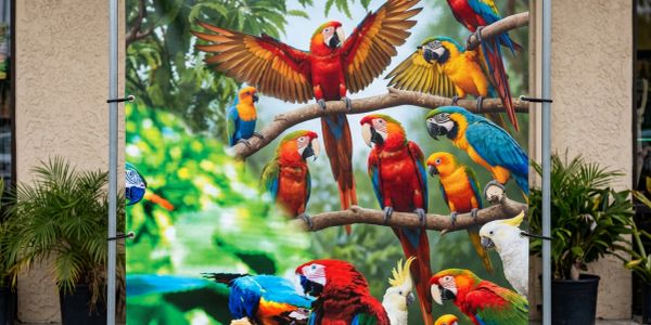 Colorful parrots perched on branches in a tropical setting backdrop.
