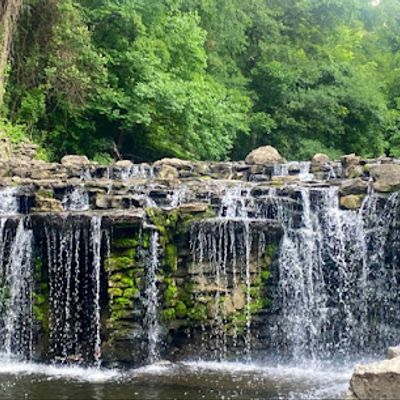 A serene waterfall flowing over mossy rocks in a lush forest.
