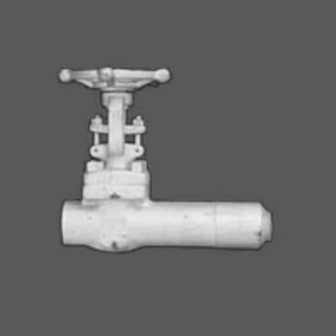 SHORITSU COMPACT VALVE 
CLASS 800 EXTENDED BODY