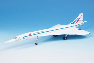 F-RTSS Armee de l'Air Hogan Custom
