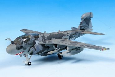 Grumman EA-6B U.S Navy VAQ-142The Gray Wolves 160437 Hogan 366870