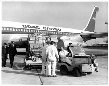 LAP BW Photo 707 Cargo Loading 1966 -
Official BOAC Large Format Photo