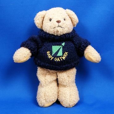 LGW Gary Gatwick Bear 2