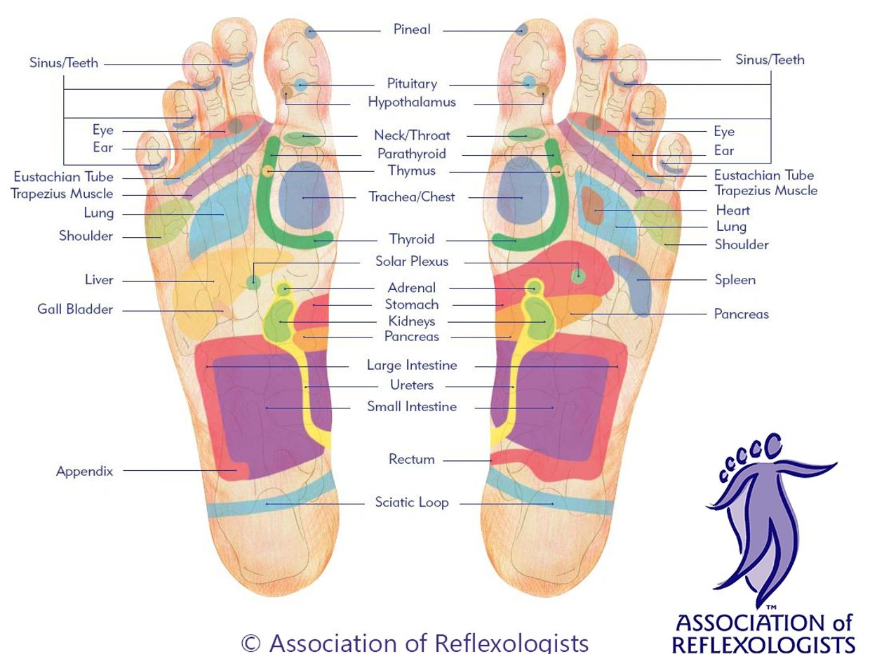 Reflexology-foot-map